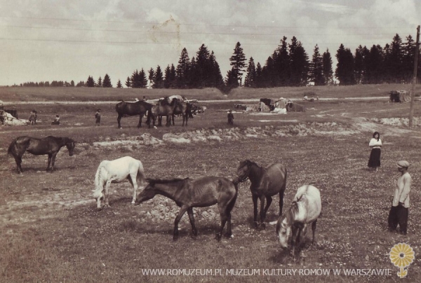 Front wschodni, Polska lub tereny b. ZSRR, tabor na postoju (5)