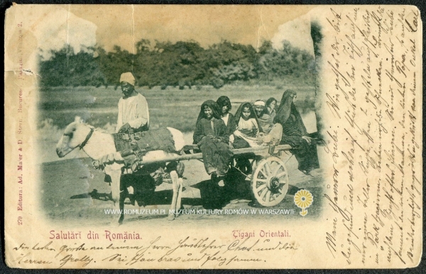 Tigani Orientali, Salutărĭ din Romănia