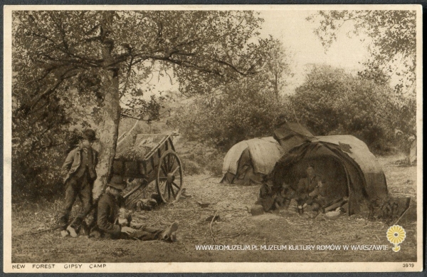 New Forest Gipsy Camp